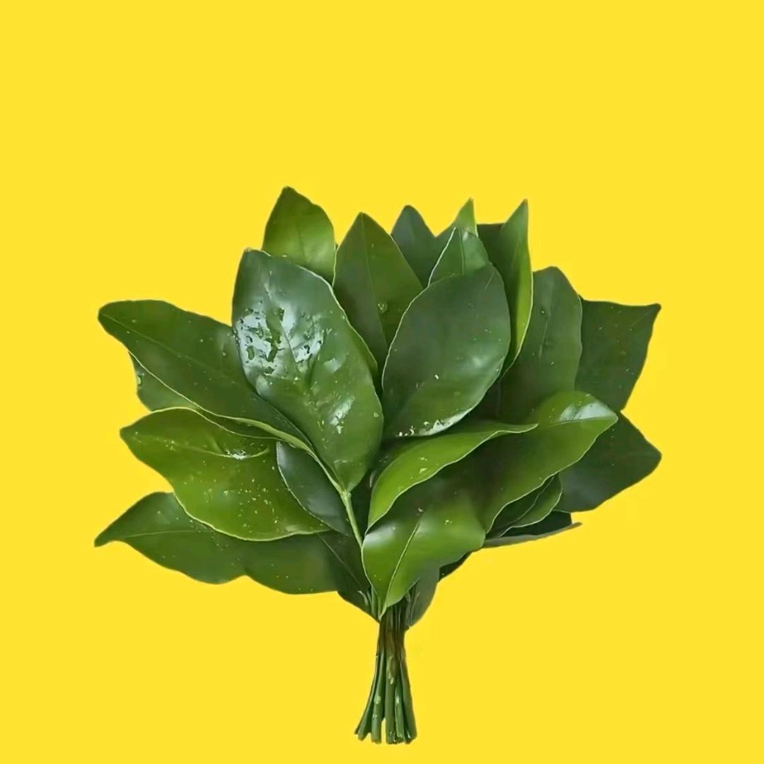 不负遇见，不谈亏欠