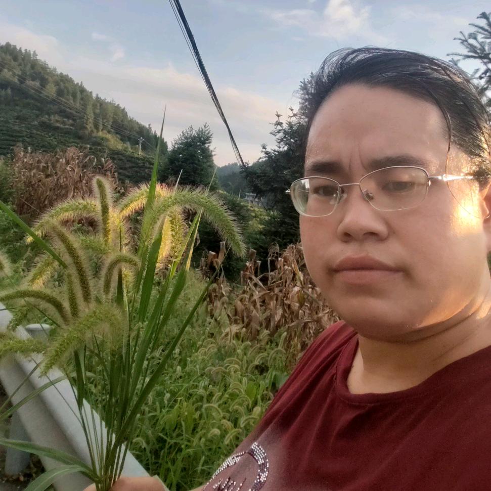 秋季的花开