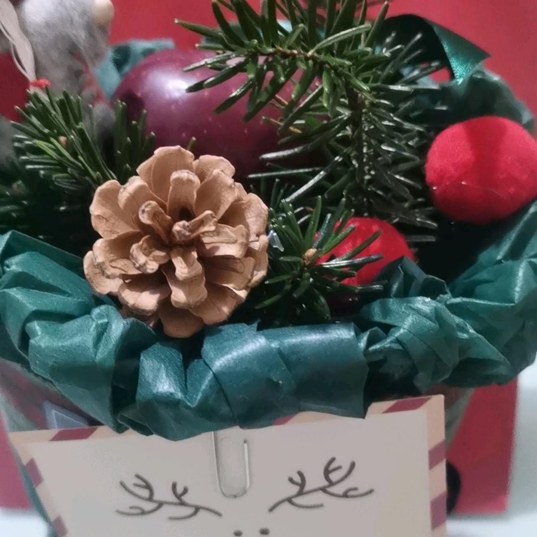 戏歌婷婷〈不定时直播〉