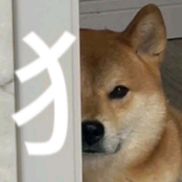 下水道的肮脏鼠鼠