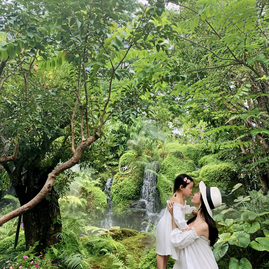 朵妈&直播好物返场