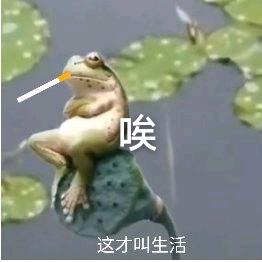 诶嘿