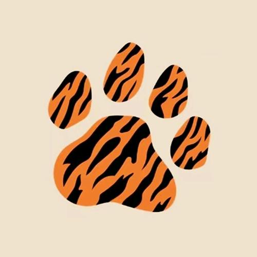 硬核大猫