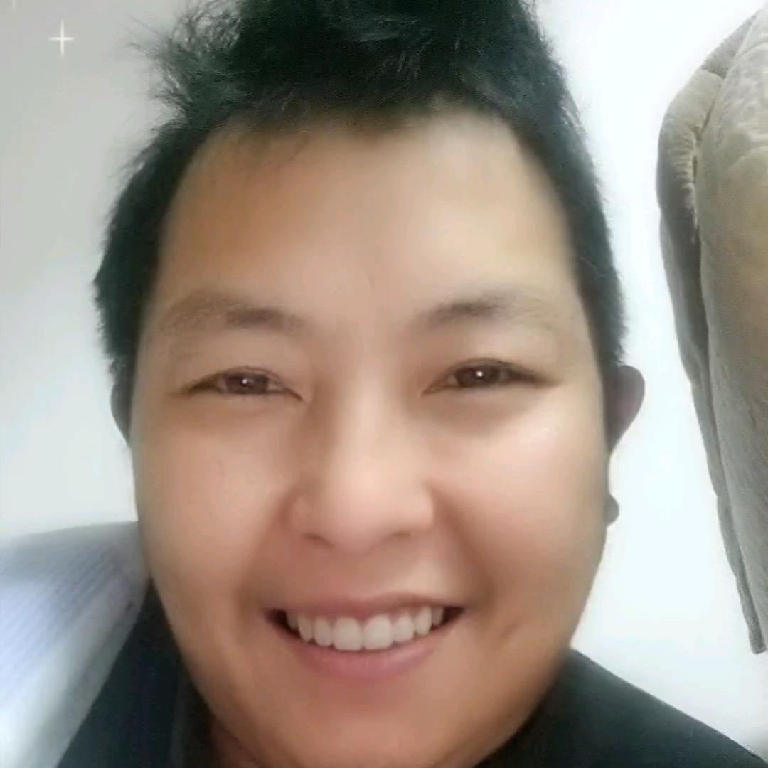 胖胖的牛马生涯