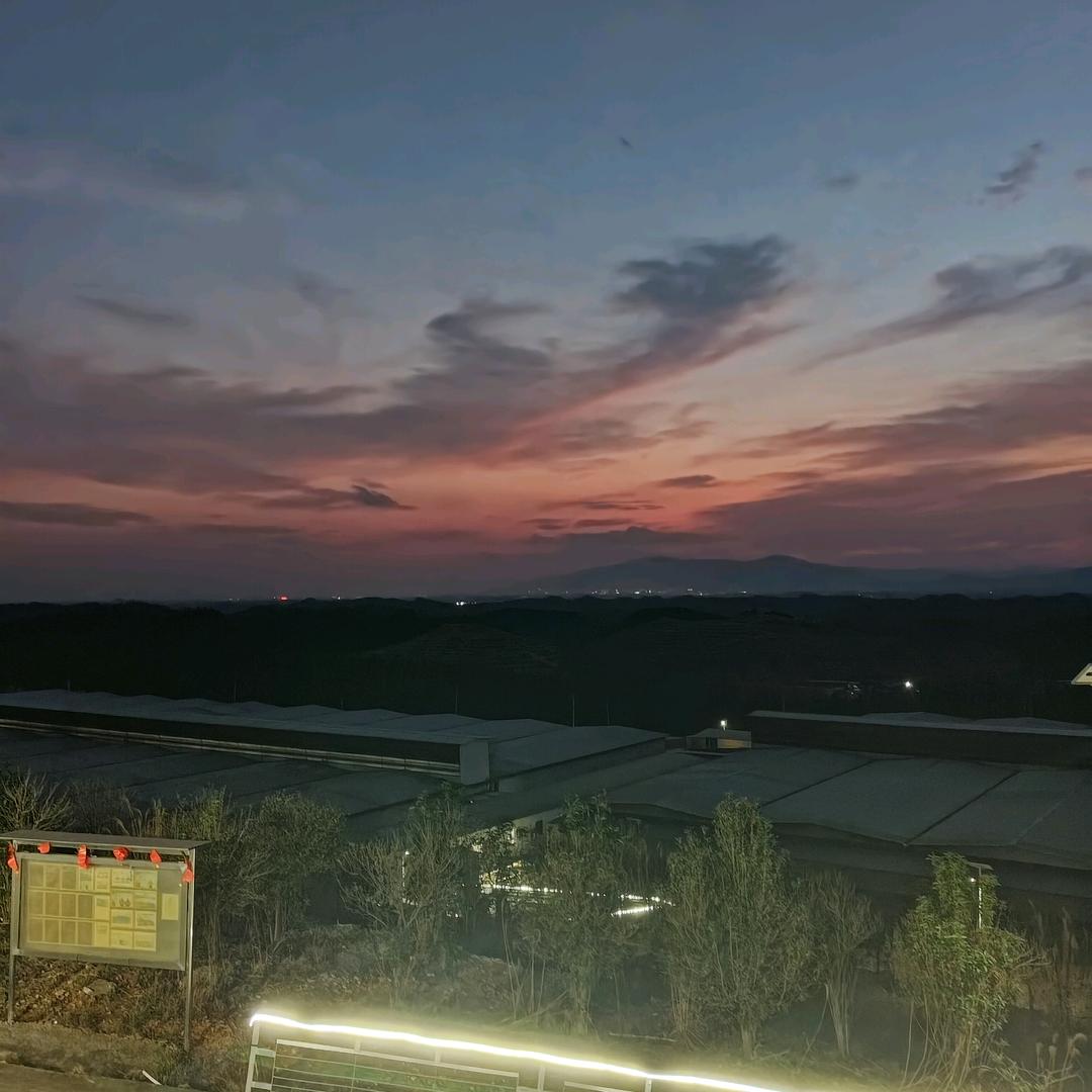 @陈鱼落雁