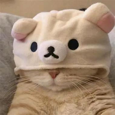 喵咪团购