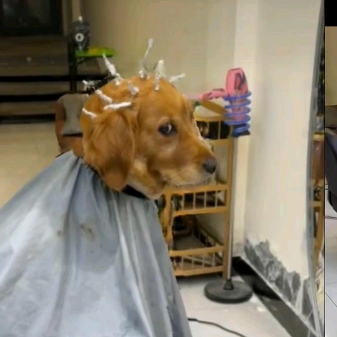 八方来財前程似锦身体健康心想事成万事胜意