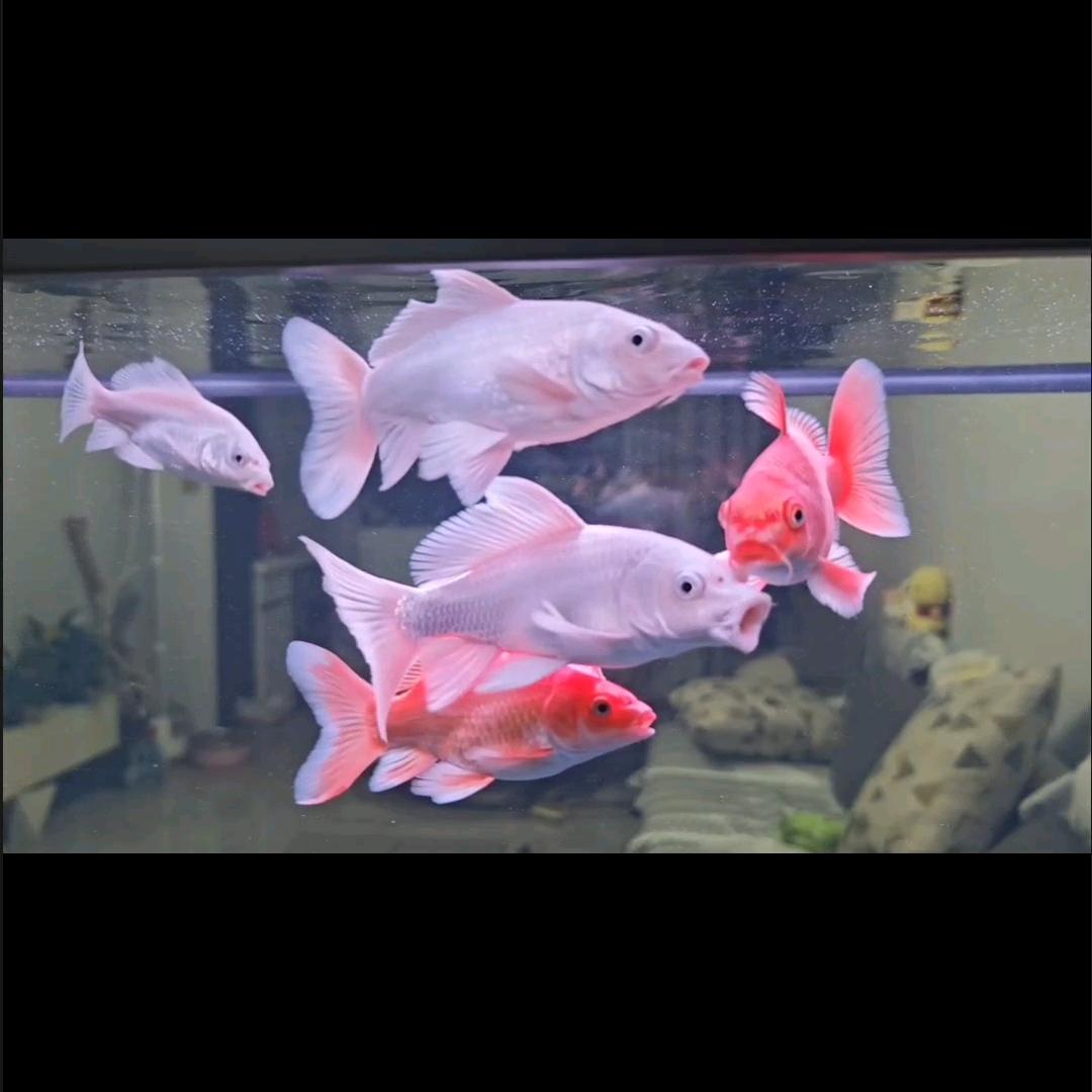 早上睡到八点半