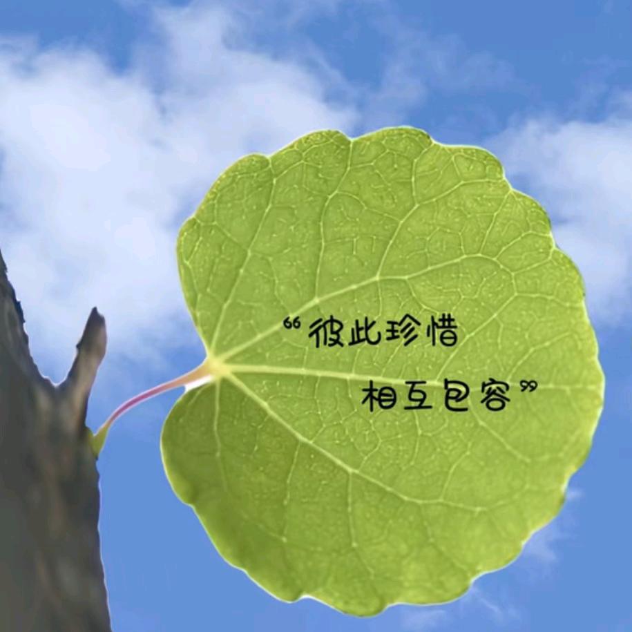 安暖相伴🍎