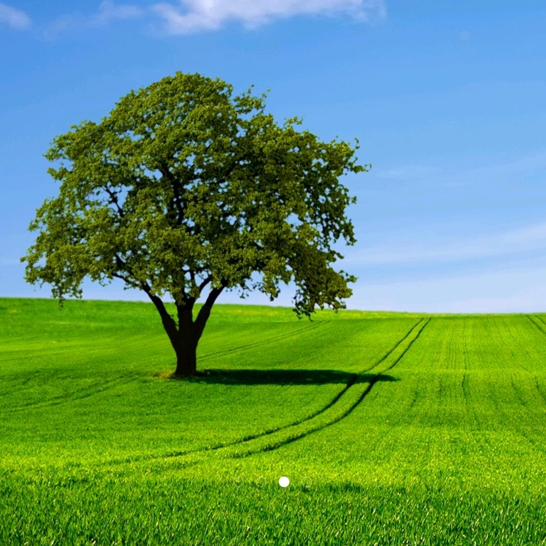 平安就好💞💞