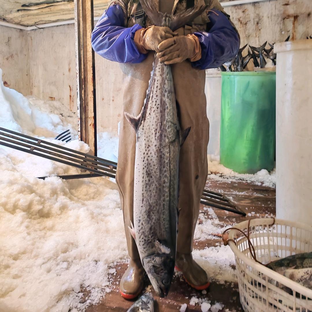 赣榆田园海产严选店