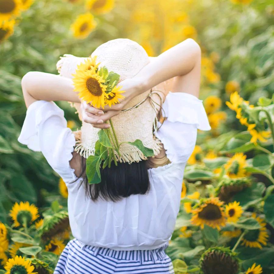 向日葵(。’▽’。)♡