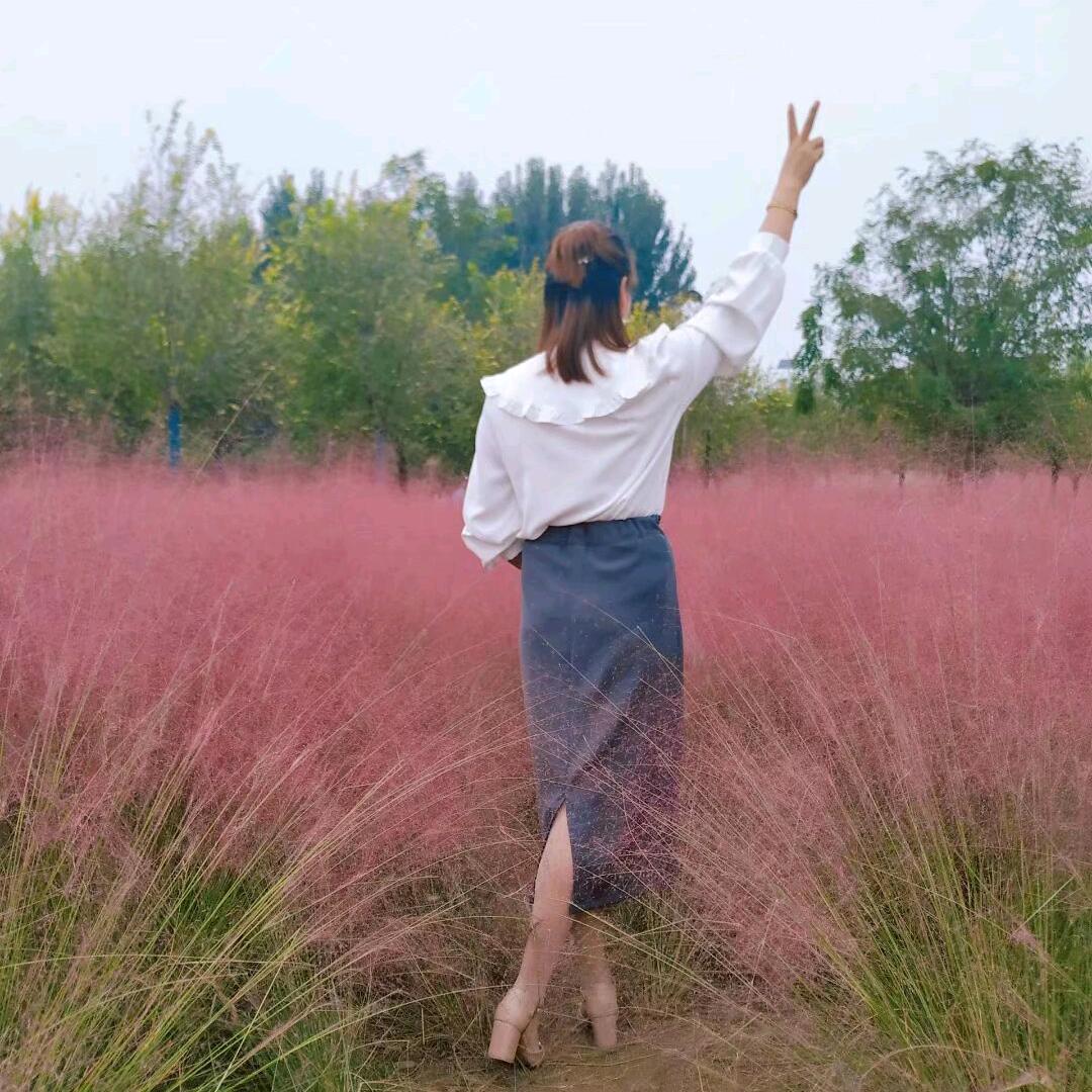 南风知我意💕