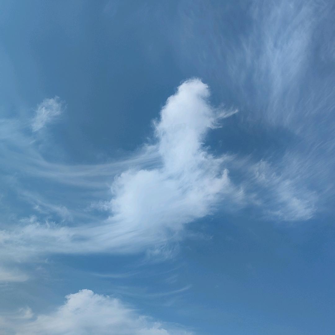 防渗膜厂家直销