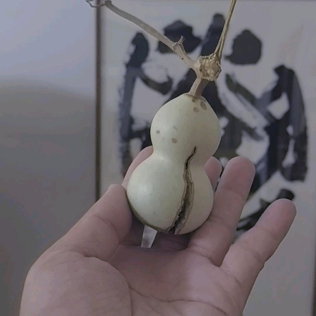 至味清欢｀-、｀