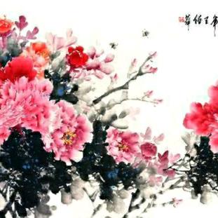 洋葱圈小福星