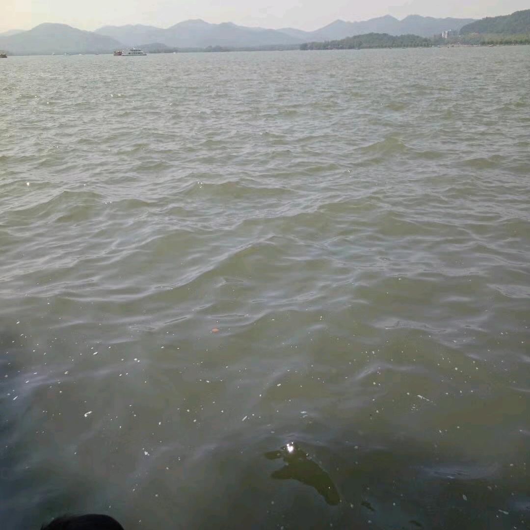 逗比大将军
