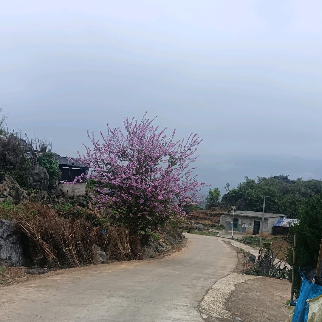 窗外的世界