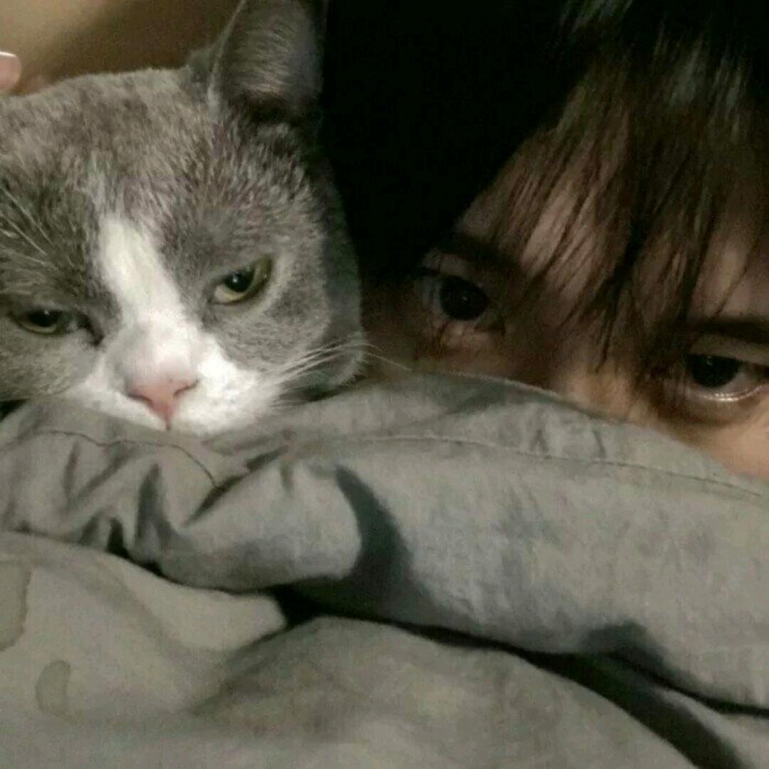 想困.💤Sleep