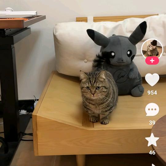 名扬车品手表电池