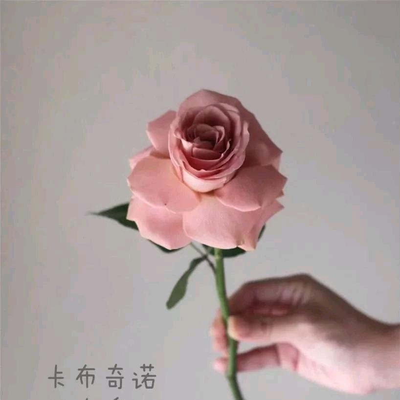 容容