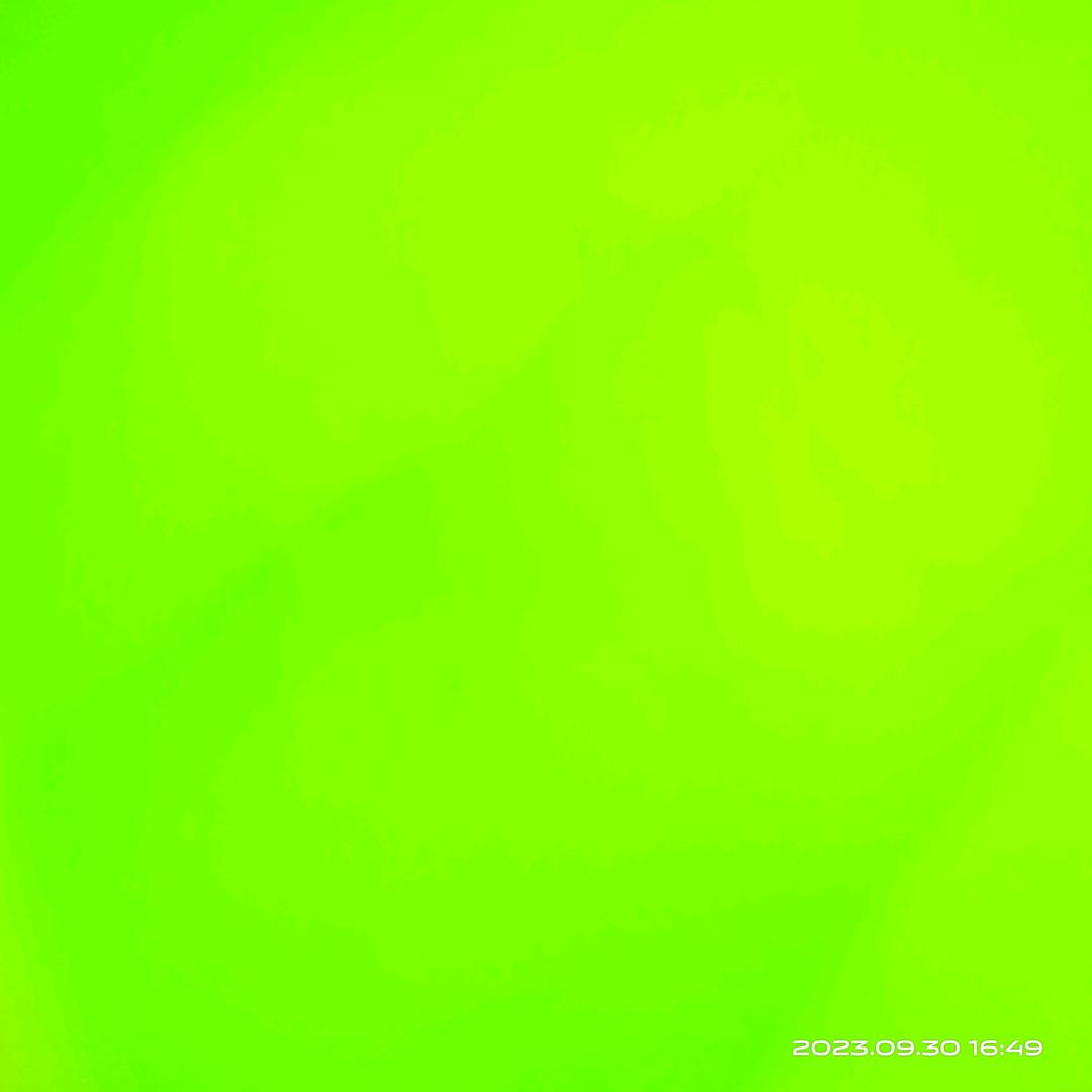 兰汝庭