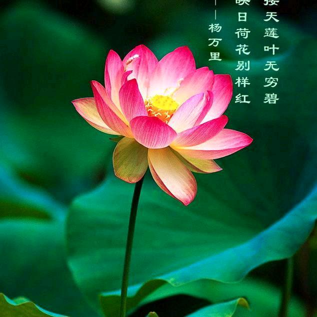 欣   亿  🌻
