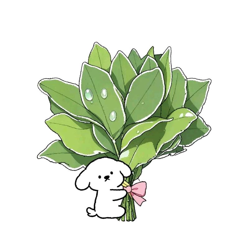 🥥一椰暴富 ᰔᩚᐝ