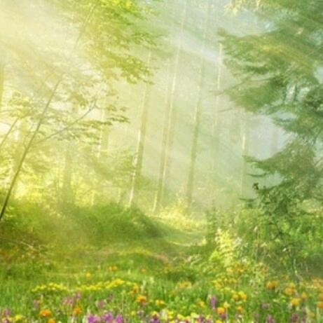 单招数学~兰老师