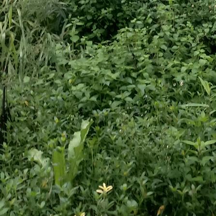 重庆大姐小号(早上8点10)