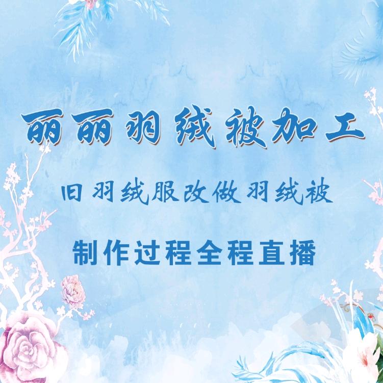 丽丽羽绒被加工