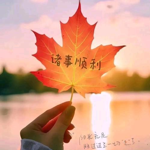 好运泡芙