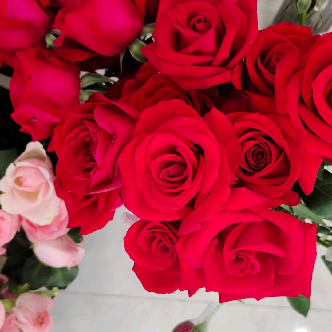 家和万事兴心想事成