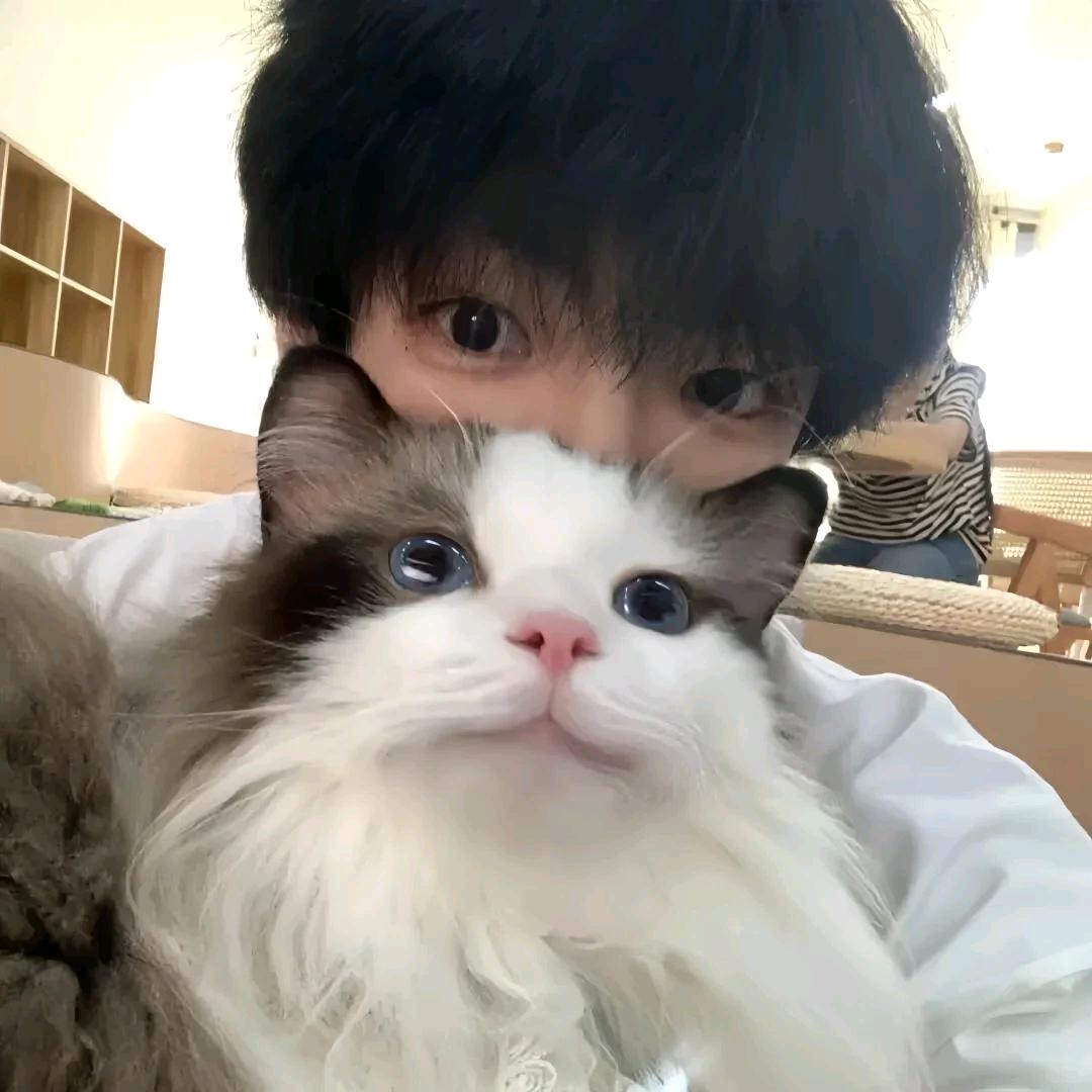 今天要早睡