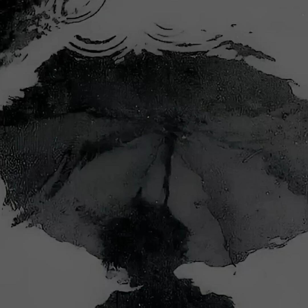 清幽