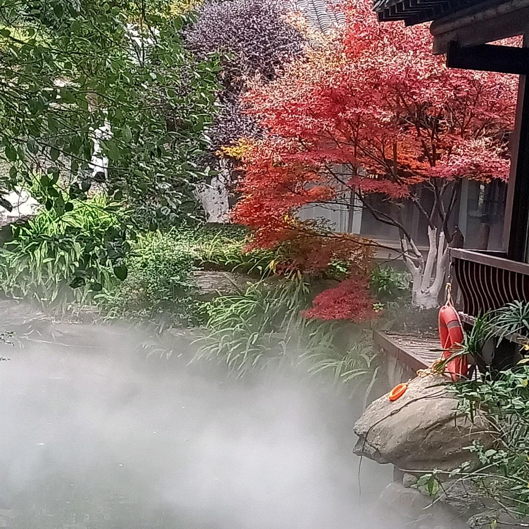 爱尔兰