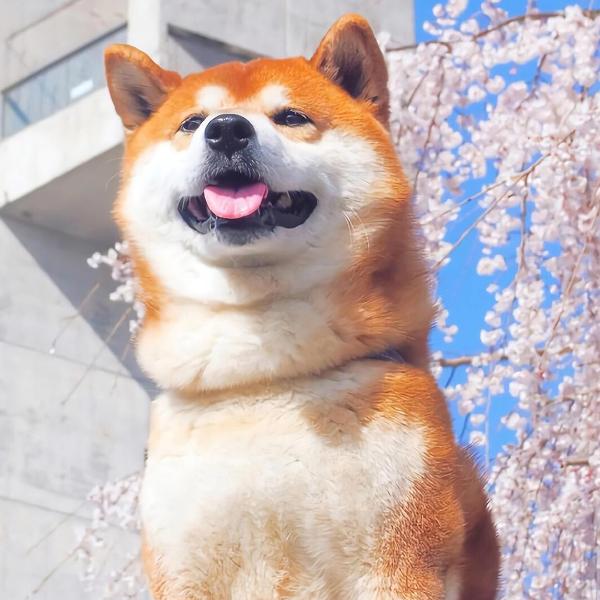7至