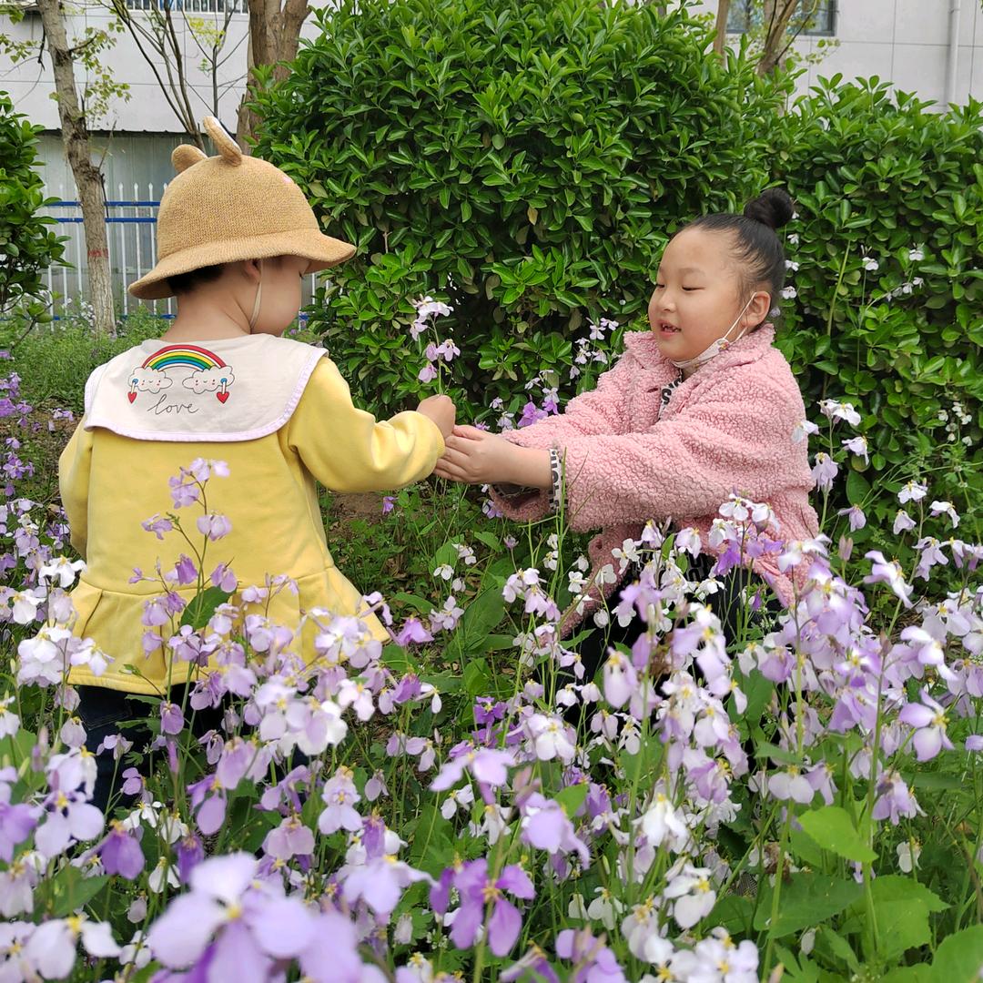 莹在¥国家