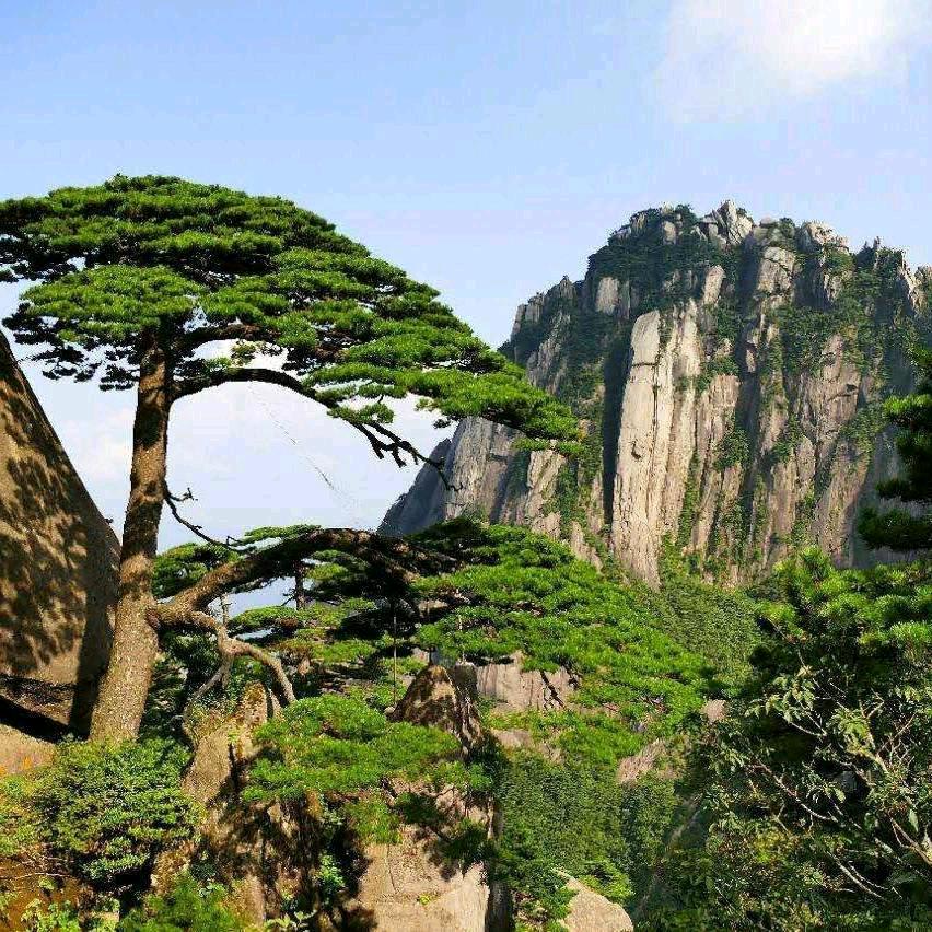 ꧁💞꧔ꦿ幸运哥℘᭄ᩚ꯭ᩚ💞᭄᪲ᩚ꯭