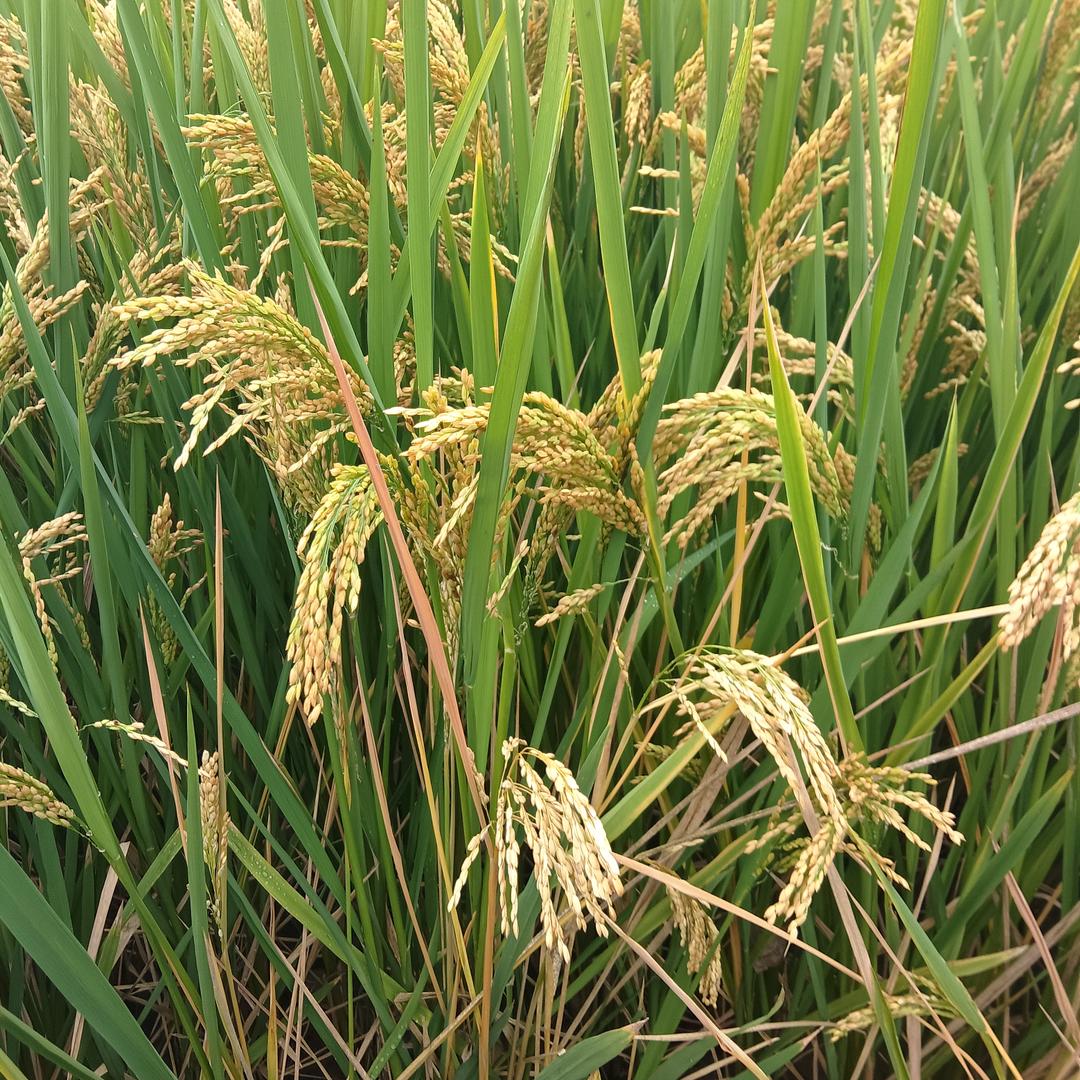 立平的废品日记