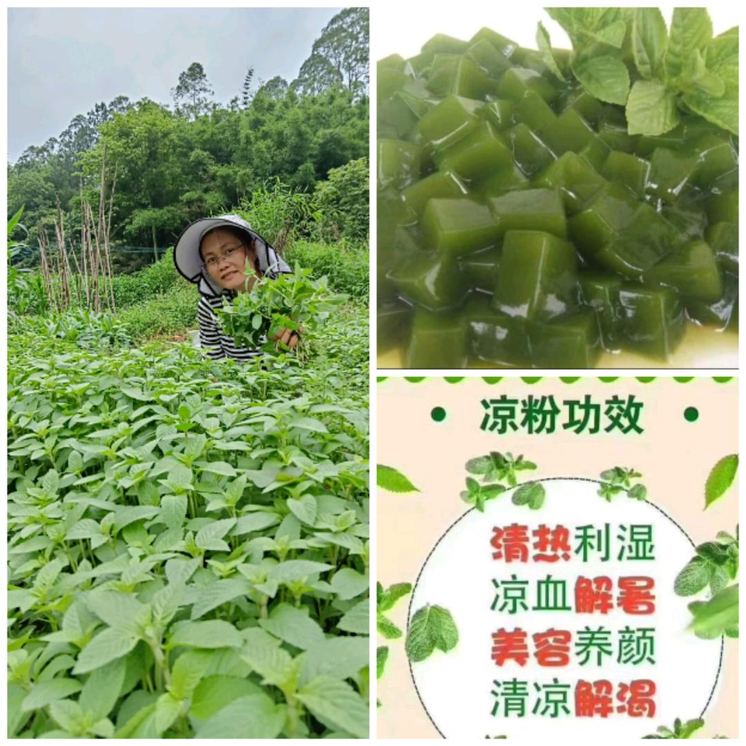 吴姐
