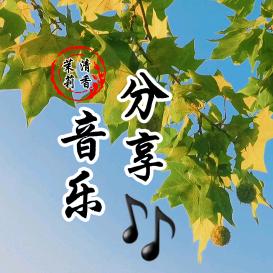 茉莉清香音乐7