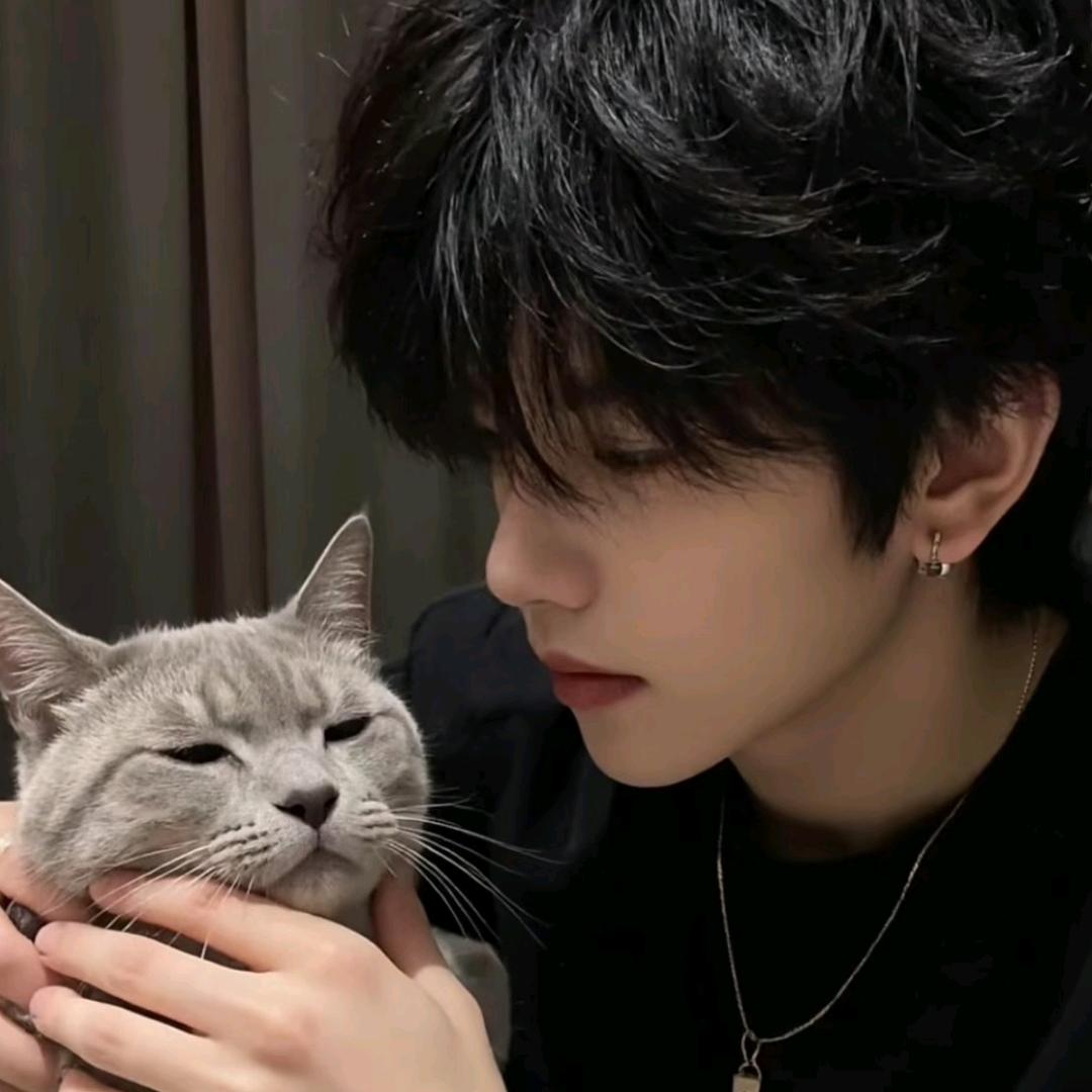 真真假假的臻臻