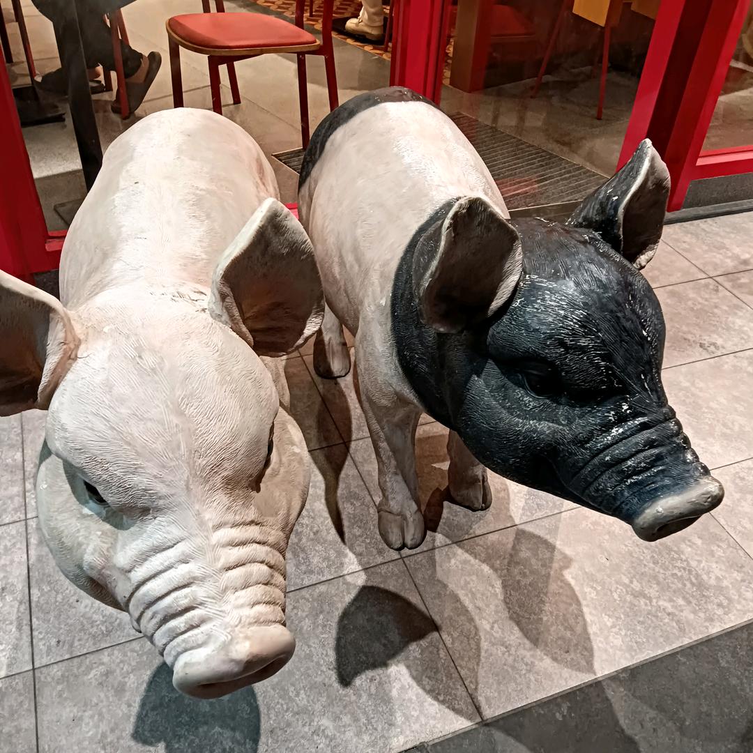 西秀阳光