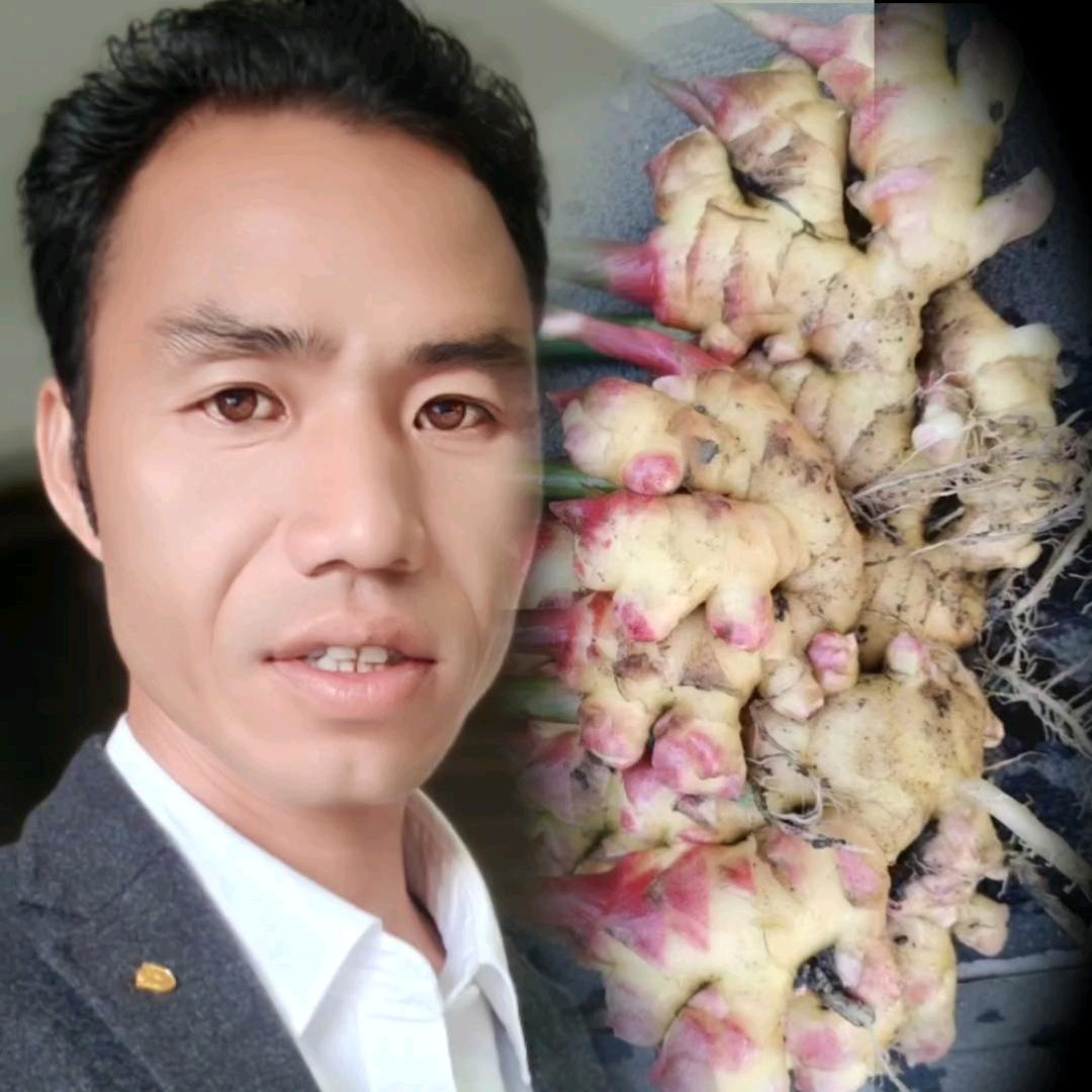 姜湖故人