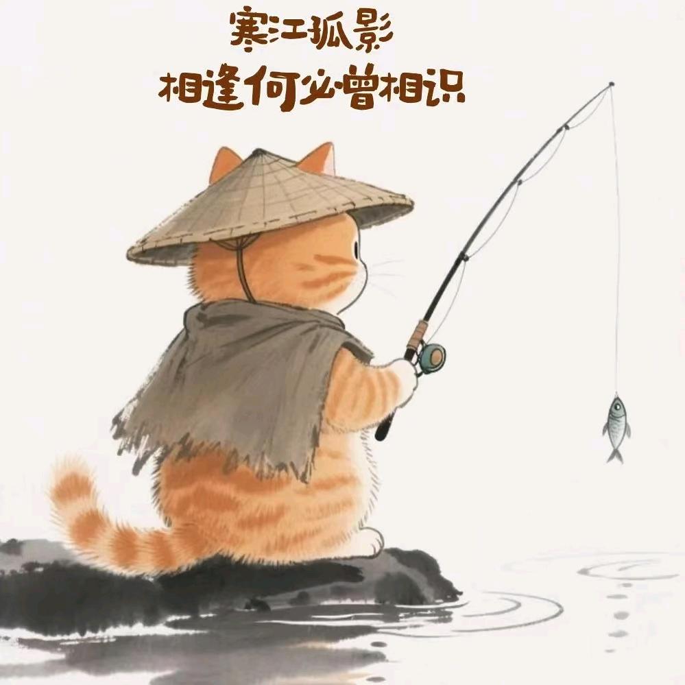 菜鸟爱吃鱼