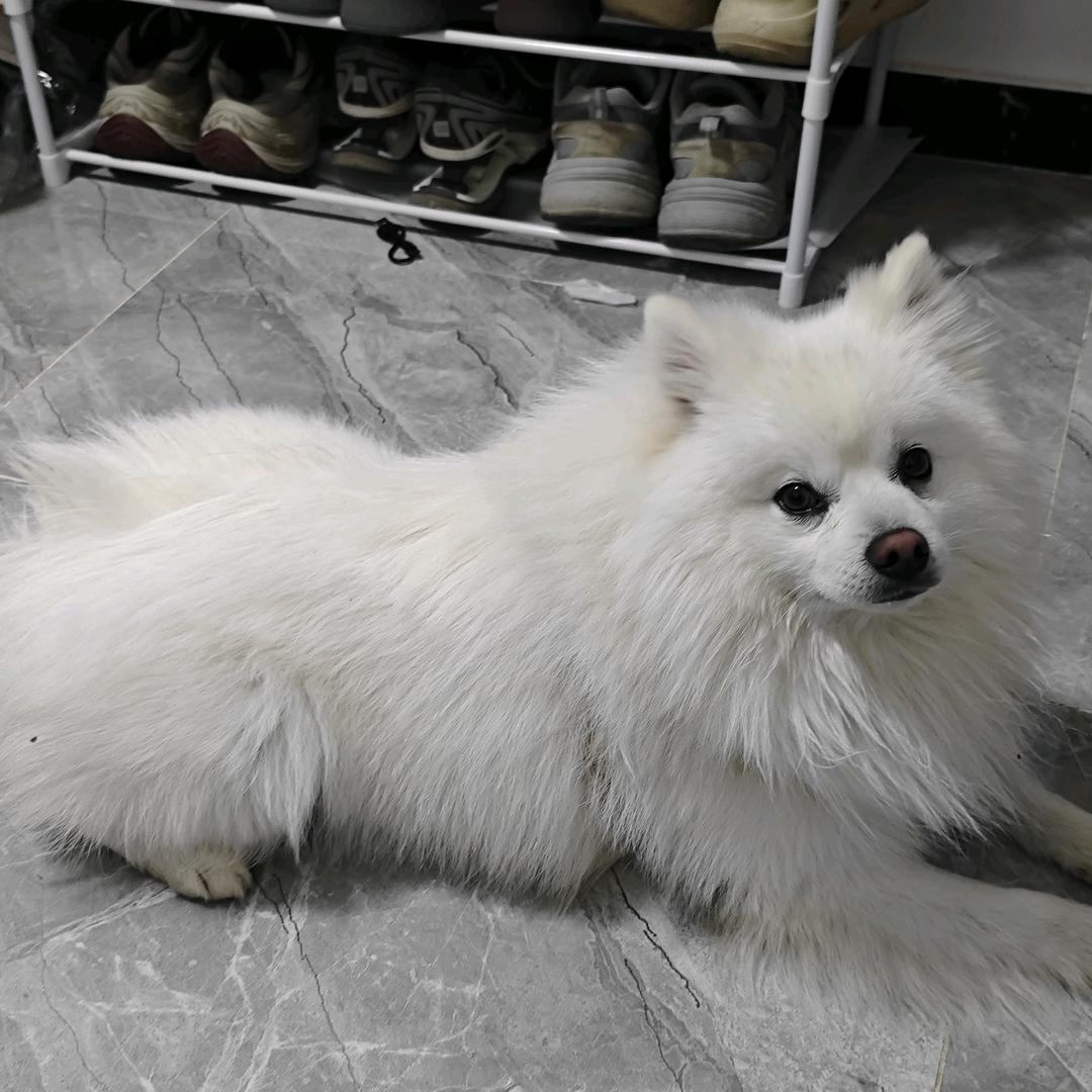 @来杯冰美式