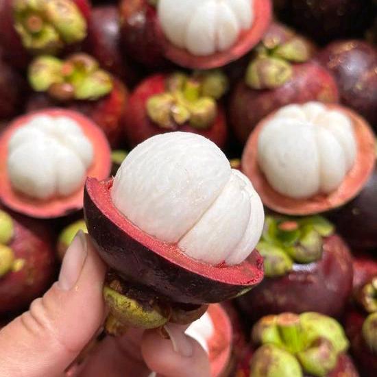 东兴果利来苗圃