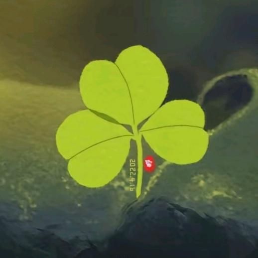 守护