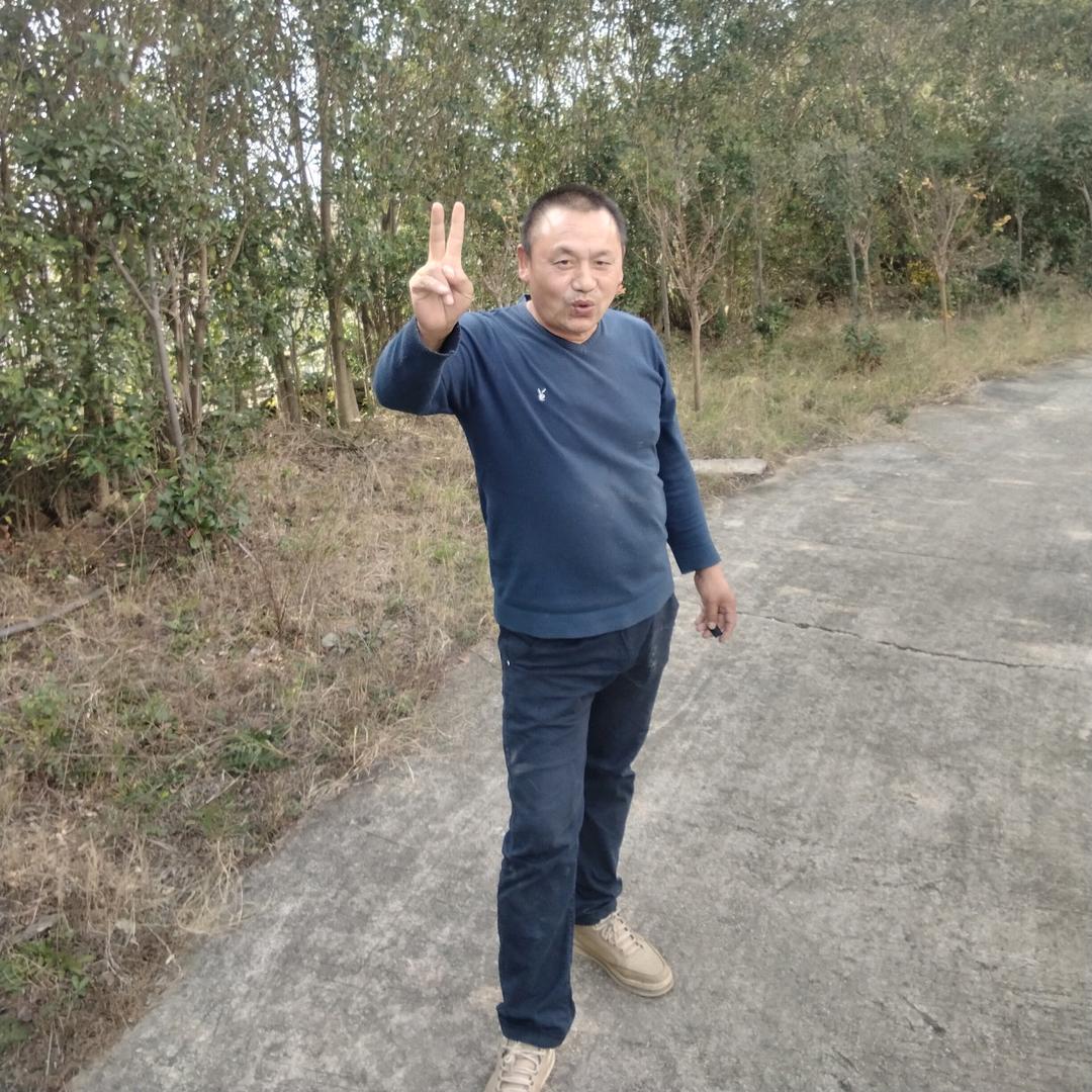 哥已不再是当年的哥